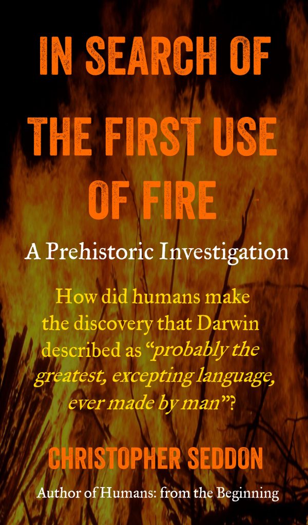 In Search of the First Use of Fire fire cover
