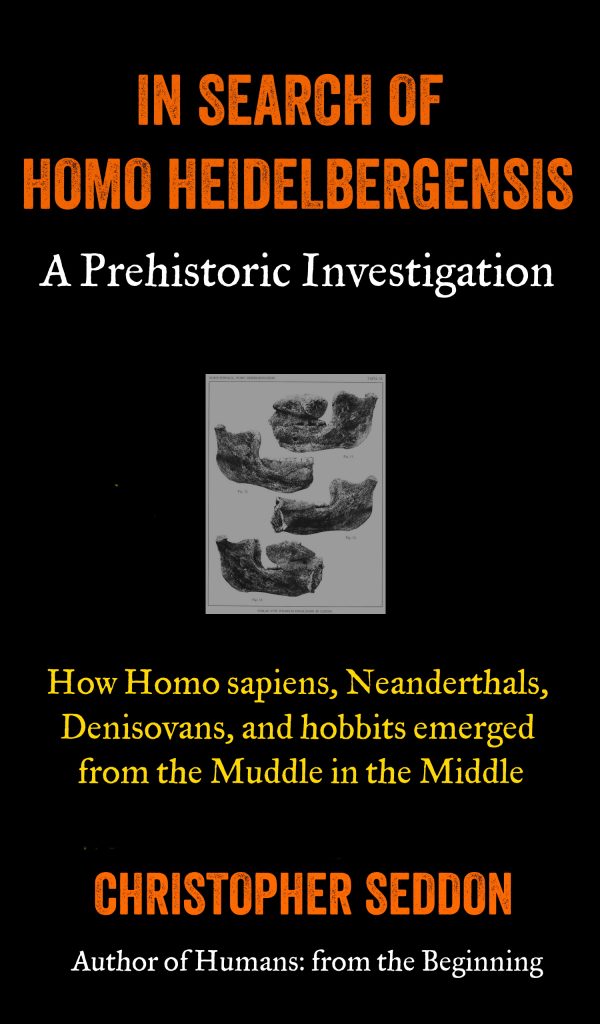 In Search of Homo heidelbergensis hheidelbergensis cover