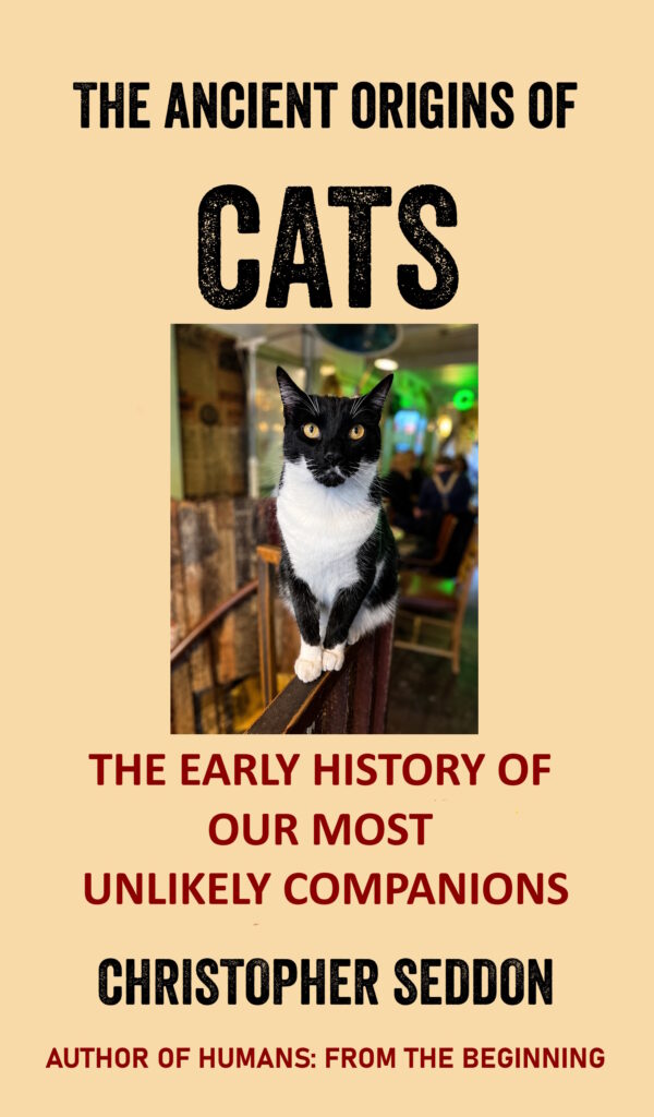 cats cover