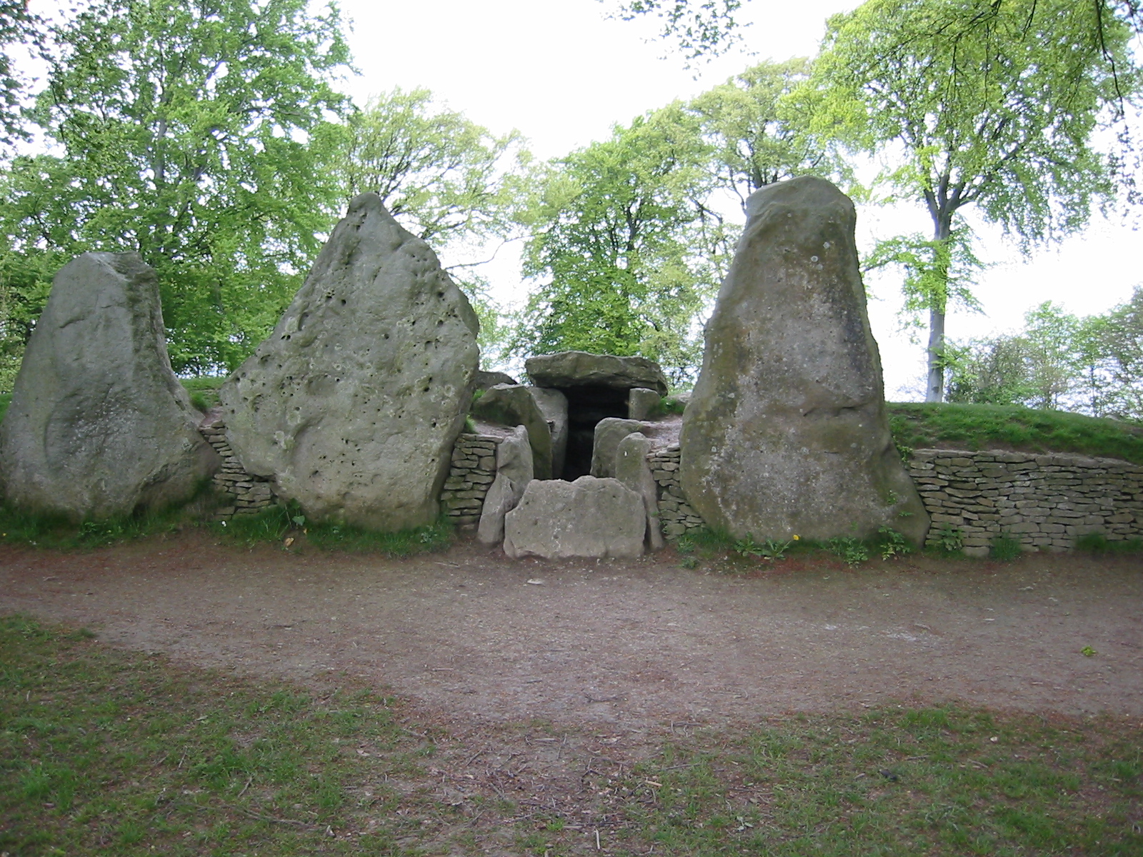 Wayland's Smithy ws1